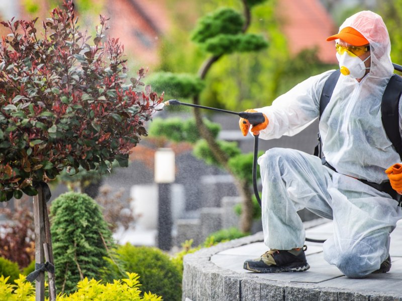 Çay Haşere İlaçlama